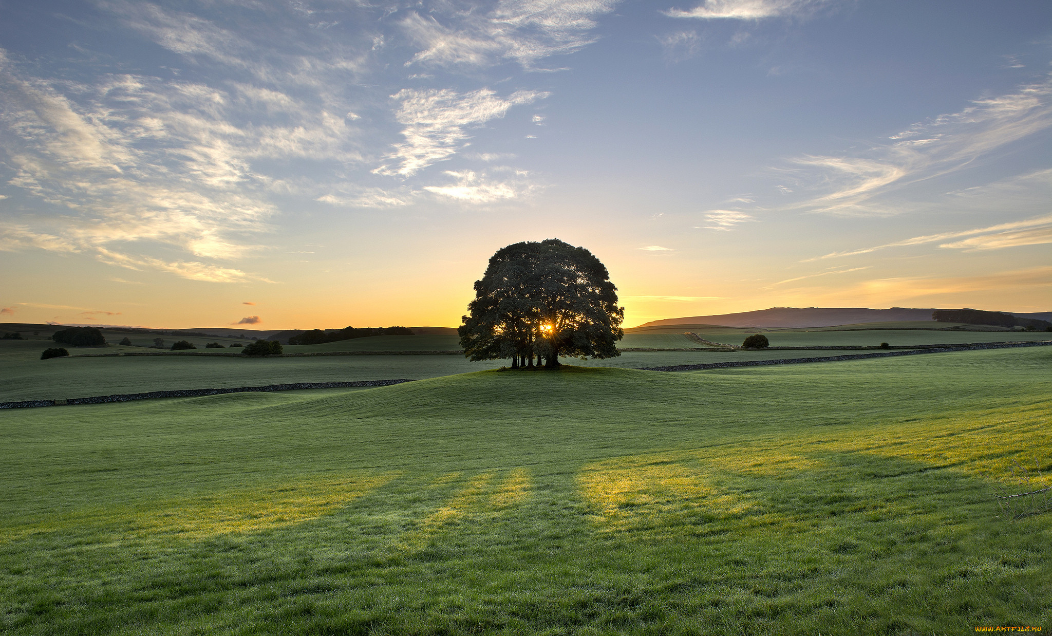 bell, busk, england, , , , , , , 